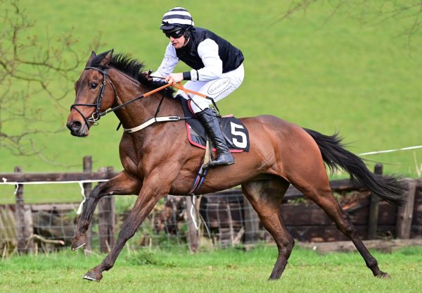 Maxd Out (Maxios) Loughanmore 39