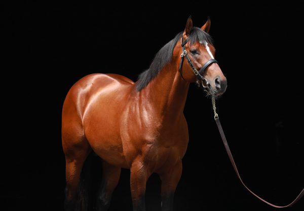 Maximum Security Head 01