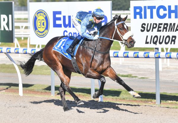 Mercurial Lady (so you think) Ballarat 750