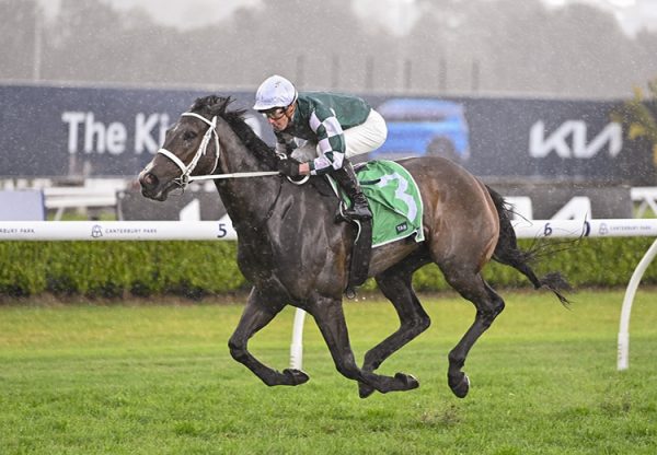 Mergeila Justify Cantebur 750