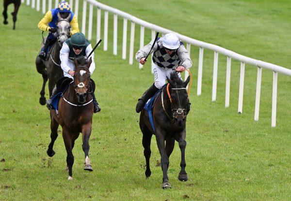 Midnight Jet (maxios) Wins On Debut At Killarney