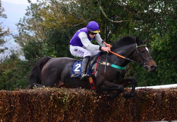 Milans Edge (Milan) Wins On Debut At Tinahely