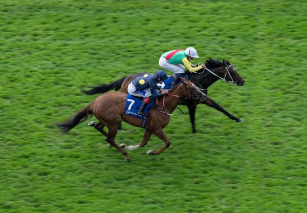 Mill Stream (Gleneagles) Wins The Group 1 July Cup