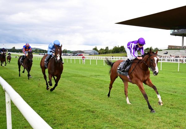 Minnie Hauk Curragh F40