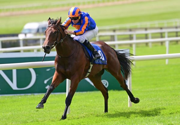 Mission Central (no nay never) Curragh 04