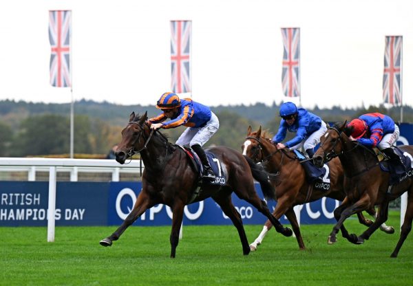 Mission Central No Nay Never Ascot