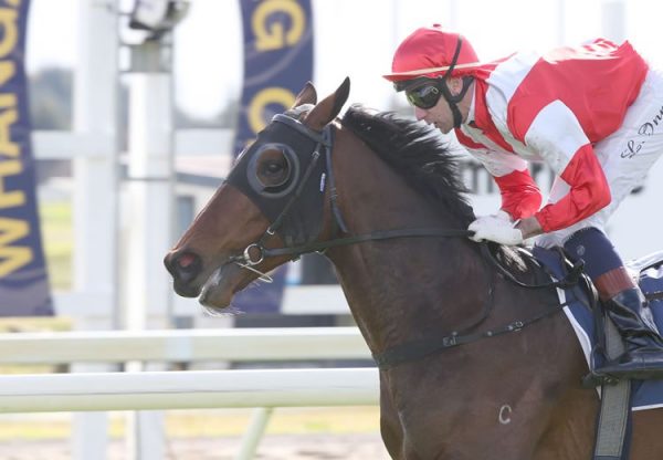 Mongolian Falcon 750