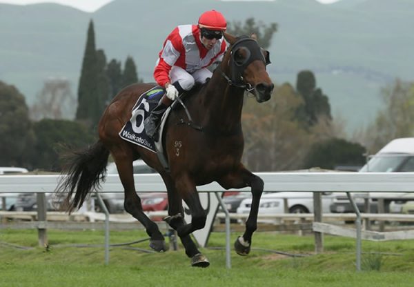 Mongolian Falconguineas 400