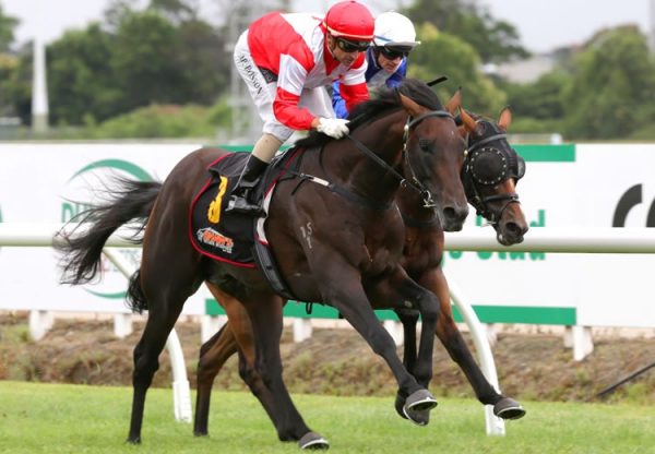 Mongolian Khan (Holy Roman Emperor) winning teh G2 Waikato Guineas at Te Rapa