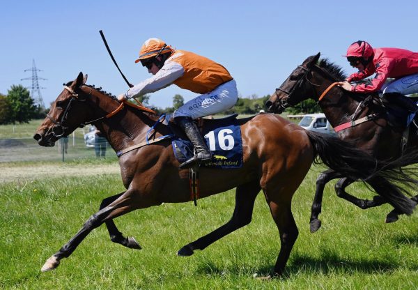 Moonlight Paradise (walk in the park) Wins On Debut At Tattersalls