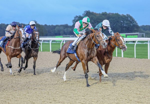 Moonlight Warrior Gleneagles Newcastle