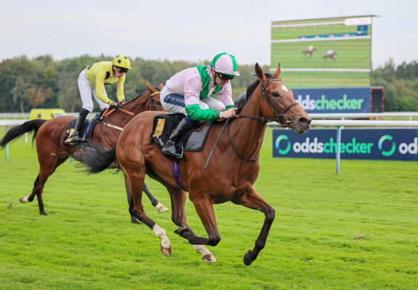 Morven Gleneagles Haydock