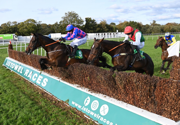 Mossy Fen Park Walk In The Park Listowel