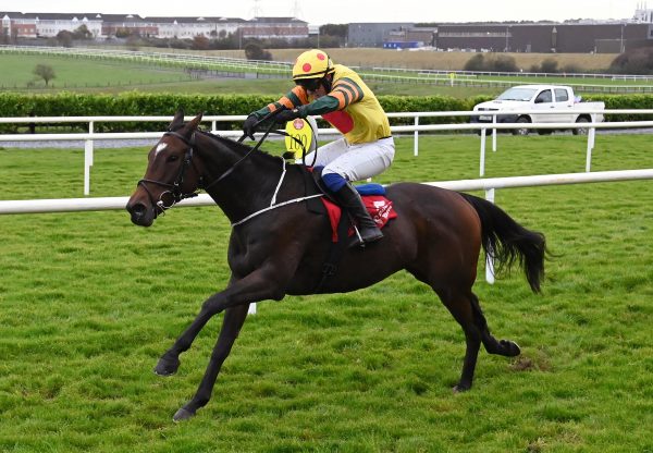 Mullaghgloss Walk In The Park Galway