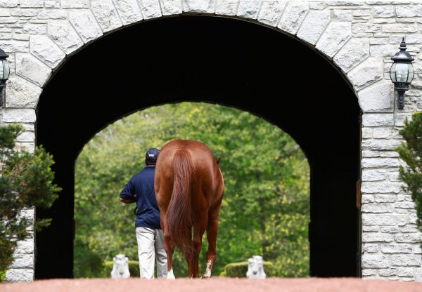 Munnings Back From Shed