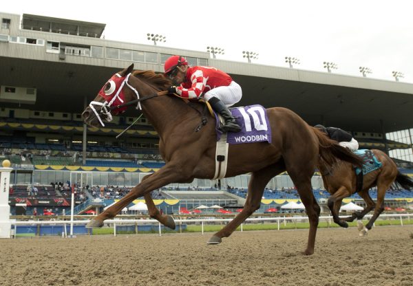Munnyfor Ro (Munnings) winning the Woodbine Oaks