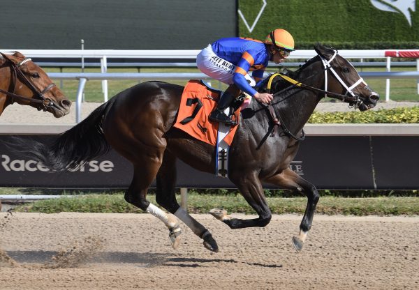 Mystic Lake (Mo Town) Wins Sugar Swirl