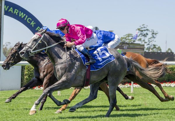 Nandina Warwick Farm 750