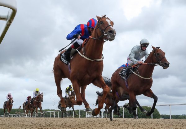 Nayef Road (Galileo) Wins the Gr.3 Sagaro Stakes at Newcastle
