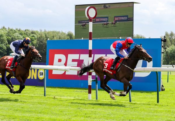 Nellie Leylax (Calyx) Wins The Silver Bowl