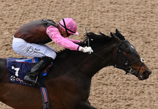 Neski Sherelski (Churchill) Wins On Debut At Dundalk