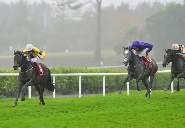 Never Loose No Nay Never Galway