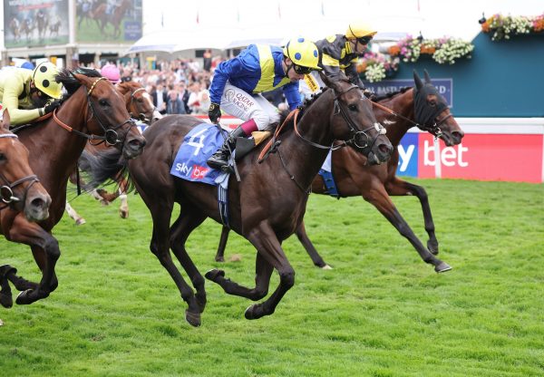 Never So Brave (no nay never) York