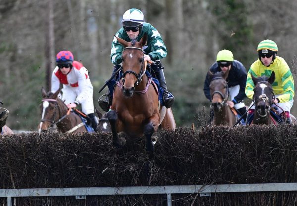 Nevershedatear Getaway Borris House