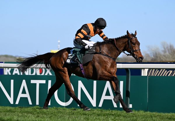 Nick Rockett (Walk in the park) Wins The Aintree Grand National