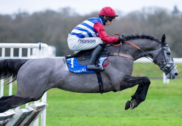 No Drama This End Walk In The Park Newbury