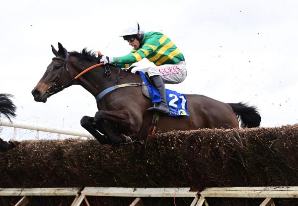 No Flies On Him (Westerner) Wins On Debut at Knockanard P2P
