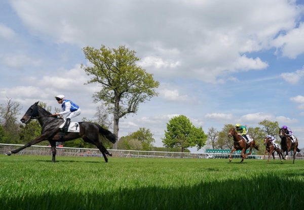 No Tune (No Nay Never) Impresses On Debut