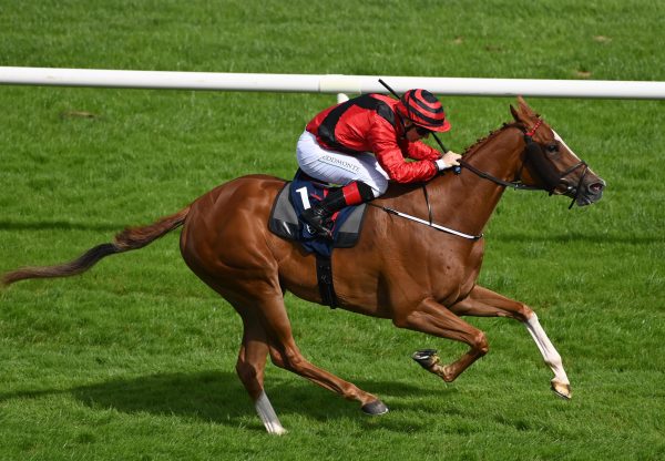 Noli Timere (starspangledbanner) Naas 07