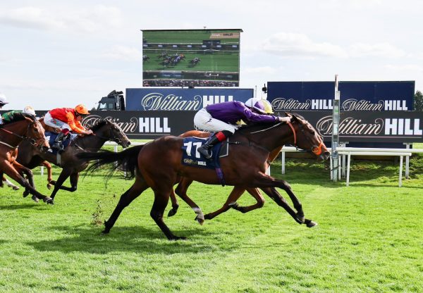 Norman’S Cay (Sioux Nation) Wins The Brocklesby