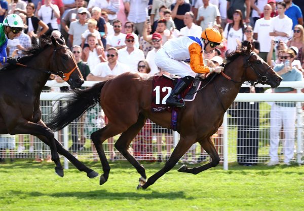 Northern Champion (wootton bassett) Deauville