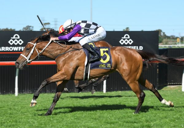 Nudge (Fasnet Rock) winning the Gr.3 Pam O'Neill Stakes at Doomben