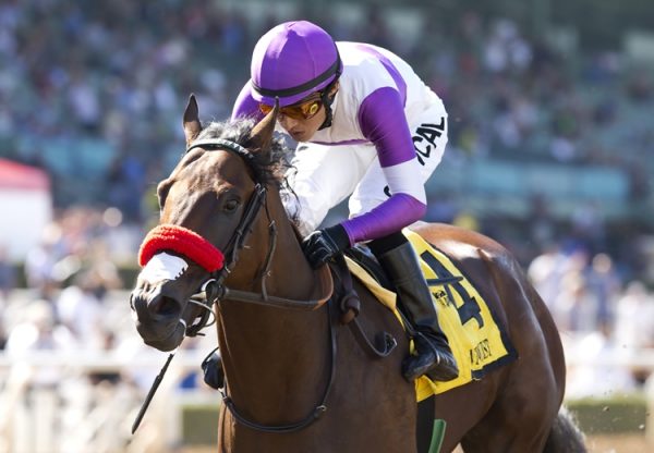 Nyquist (Uncle Mo) winning the Front Runner Stakes