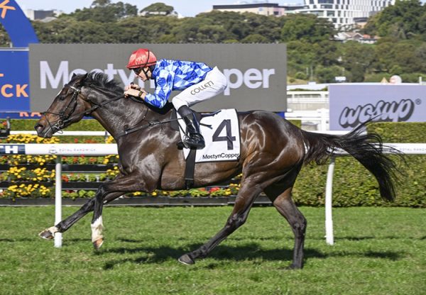 Oh Diamond Lil (so you think) 260725 750