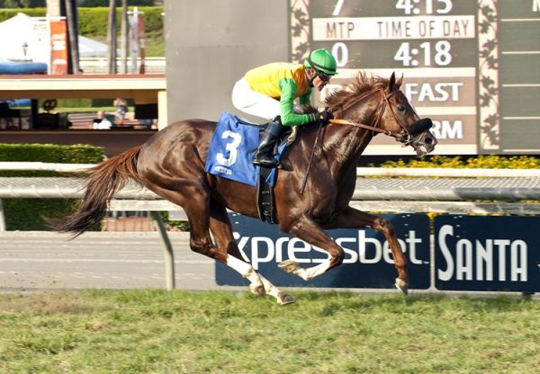 Om Twilight Derby 750