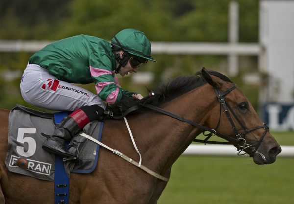 One Last Look Becomes The Latest Winner By Fastnet Rock