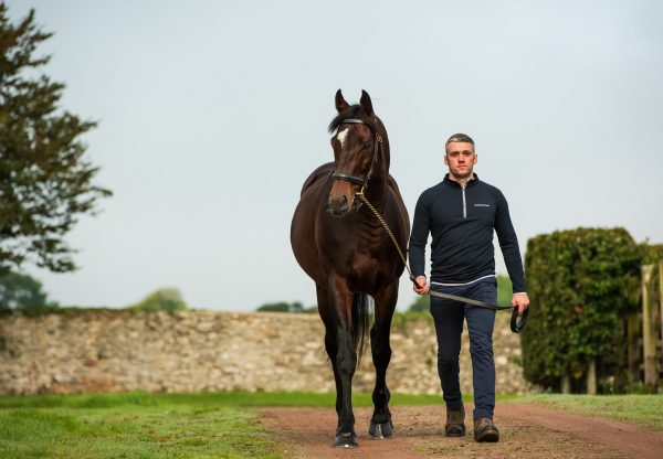 Order Of St George Walking