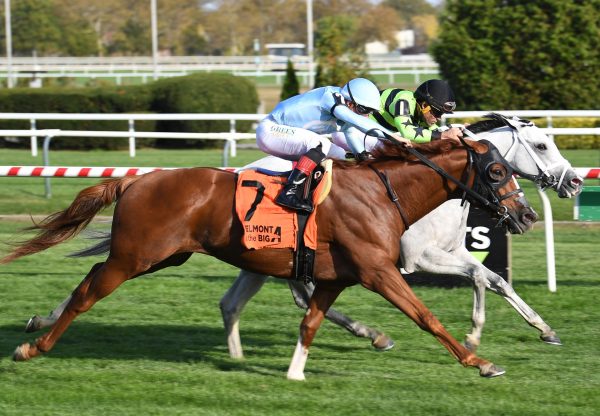 Out On Bail tiz the law