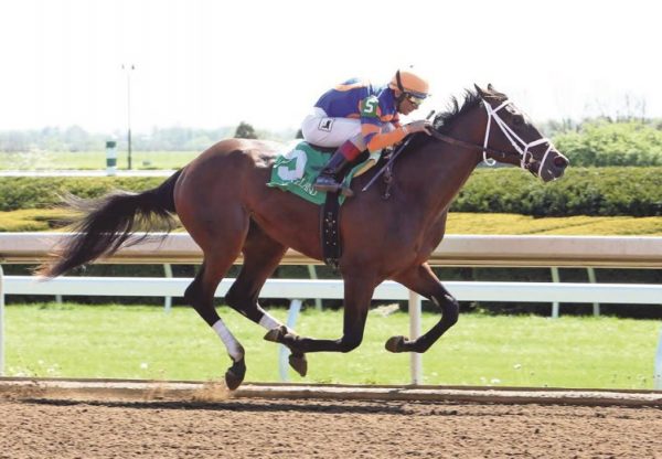 Outwork Cp Keeneland 2