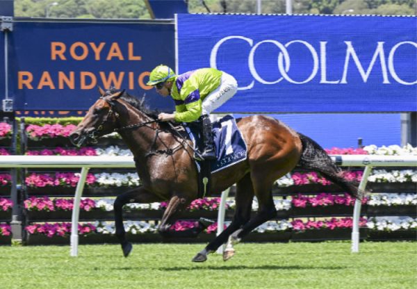 Pallaton (Wootton Bassett) Randwick 750