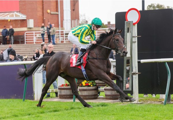 Pandemonium No Nay Never Redcar