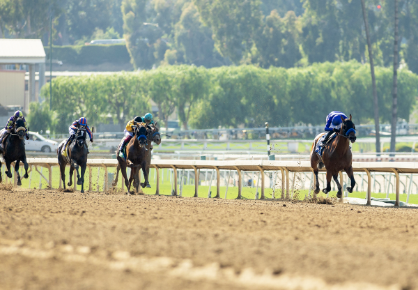 Parenting (Justify) Wins Affirmed Stakes