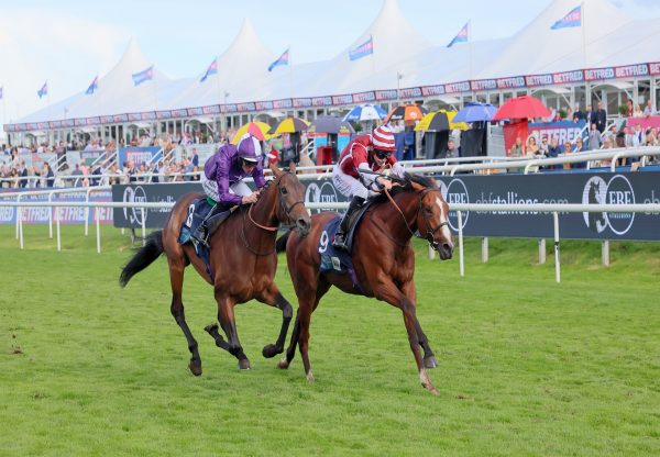 Pathein St Marks Basilica Doncaster