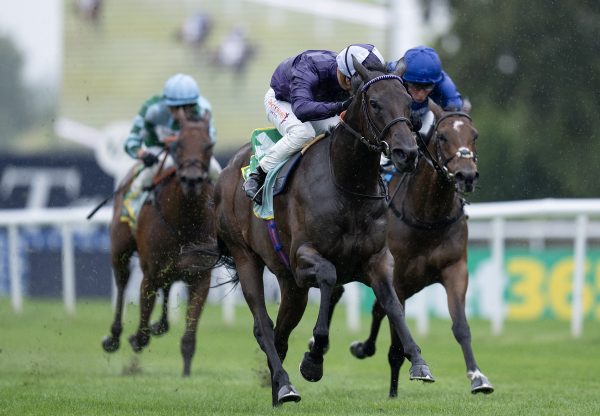 Persian Dreamer (Calyx) wins the G2 Duchess Of Cambridge Stakes at Newmarket