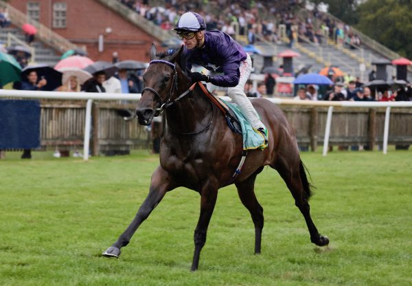 Persian Dreamer (Calyx) Wins The Group 2 Duchess Of Cambridge Stakes at Newmarket