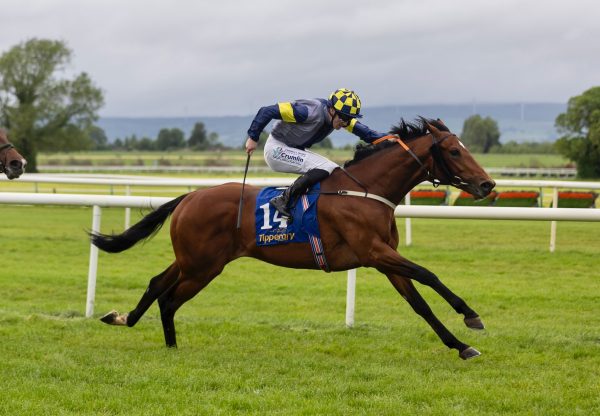 Pharos Freedom (starspangledbanner) Wins On Debut